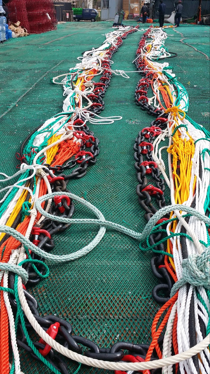 ae01762961595a7d196069dd29f37bbf_1707983535_6321.jpg